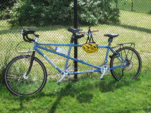 Burley store tandem bike