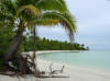 [DSC07490.JPG]
