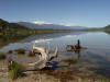 [DSC00486.JPG]
