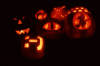 [jack-o-lanterns.jpg]