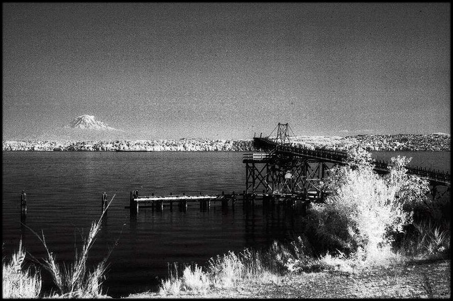 Views of Vashon and Maury Islands